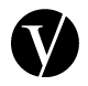 Valkyrien_Logo_Symbol_Positiv_RGB6-1